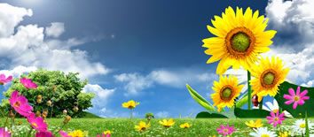 Los amigos que tienes..., engánchalos a tu alma