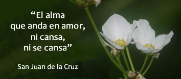 El alma que anda en amor, ni cansa, ni se cansa